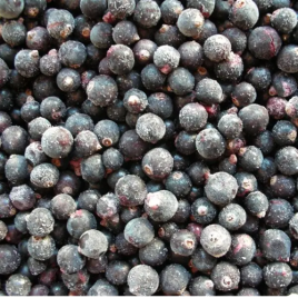 Черная смородина н/фас 1кг. Кантарелла Россия