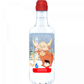 Вода пит. не/газ. "Your water" детская 0.33л пэт