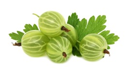 Крыжовник 1уп