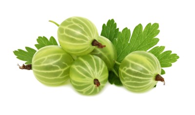 Крыжовник 1уп