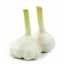 Чеснок молодой  1кг