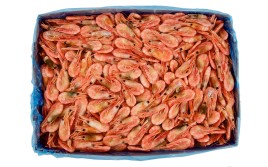 Королевские креветки в панцире в/м 60/80 зам. 1кг VICI