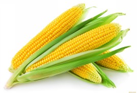 Кукуруза  1шт.