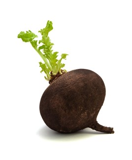 Редька черная 1кг