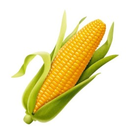 Кукуруза 1 кг
